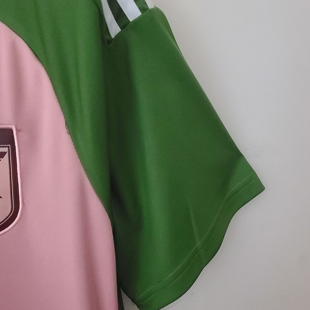 2022 Japan Pink Green Special Jersey