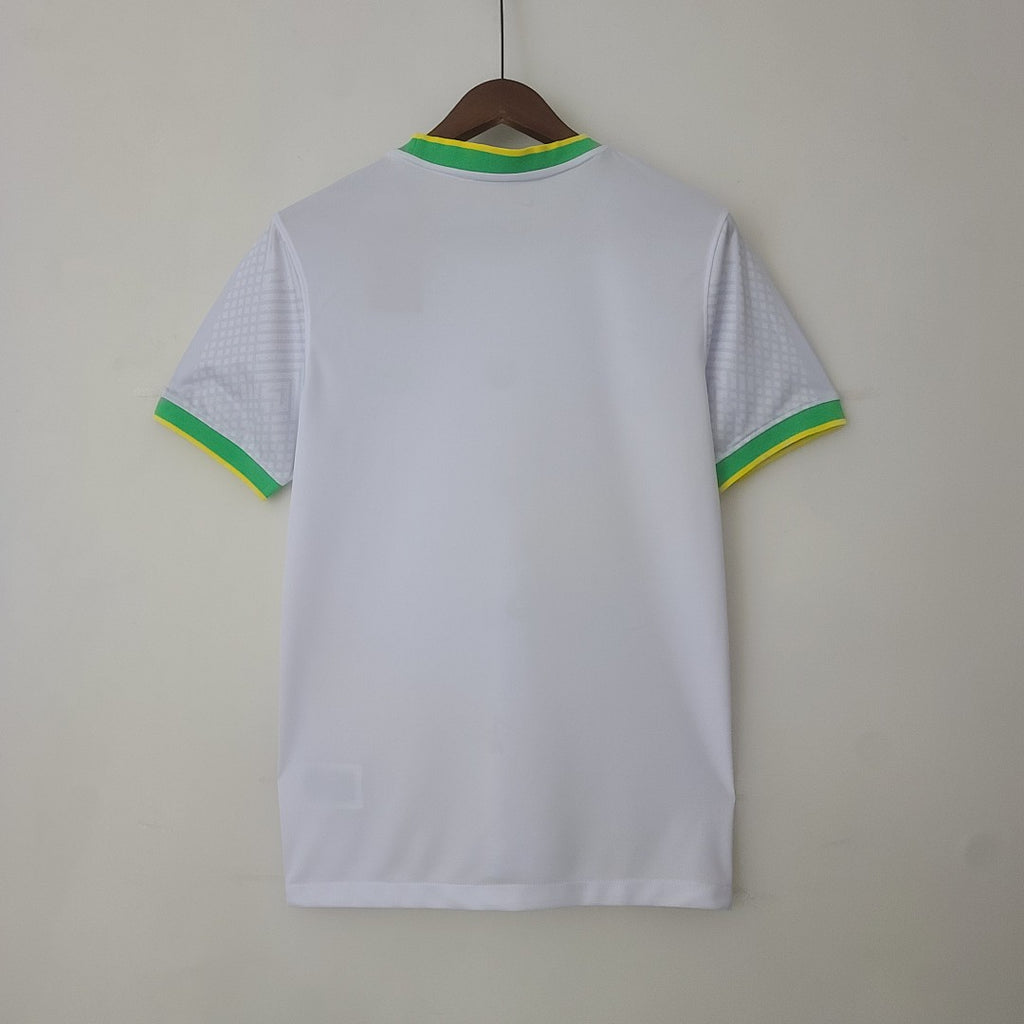 2022 Brazil Canary Special Jersey