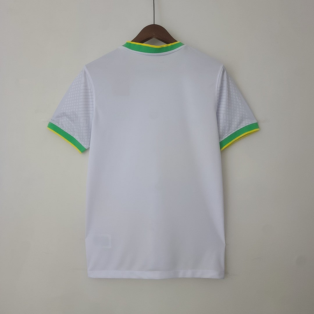 2022 Brazil Canary Special Jersey