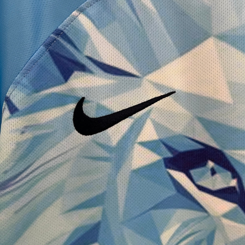 2024 Netherlands Blue Lion Special Jersey