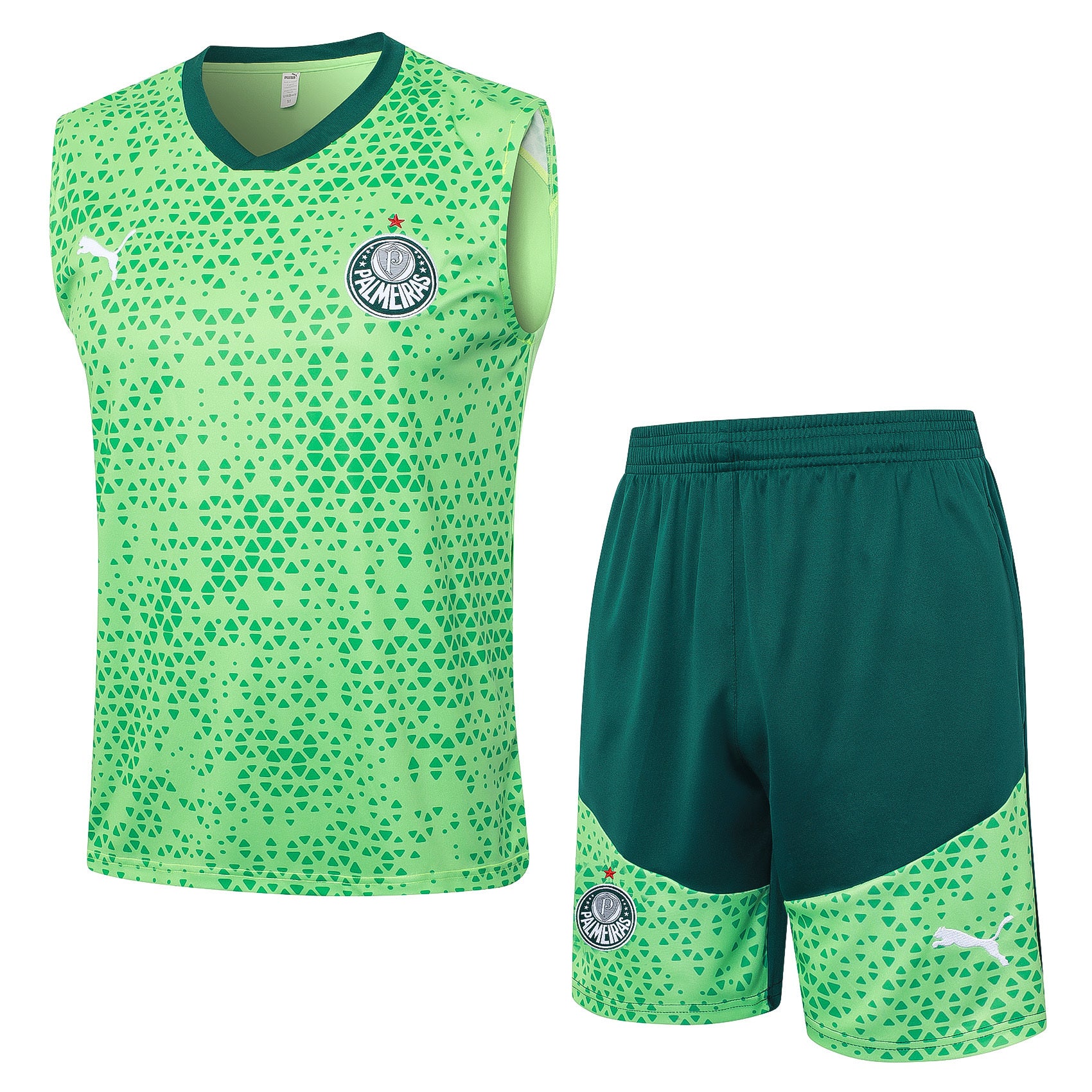 Palmeiras Training Set