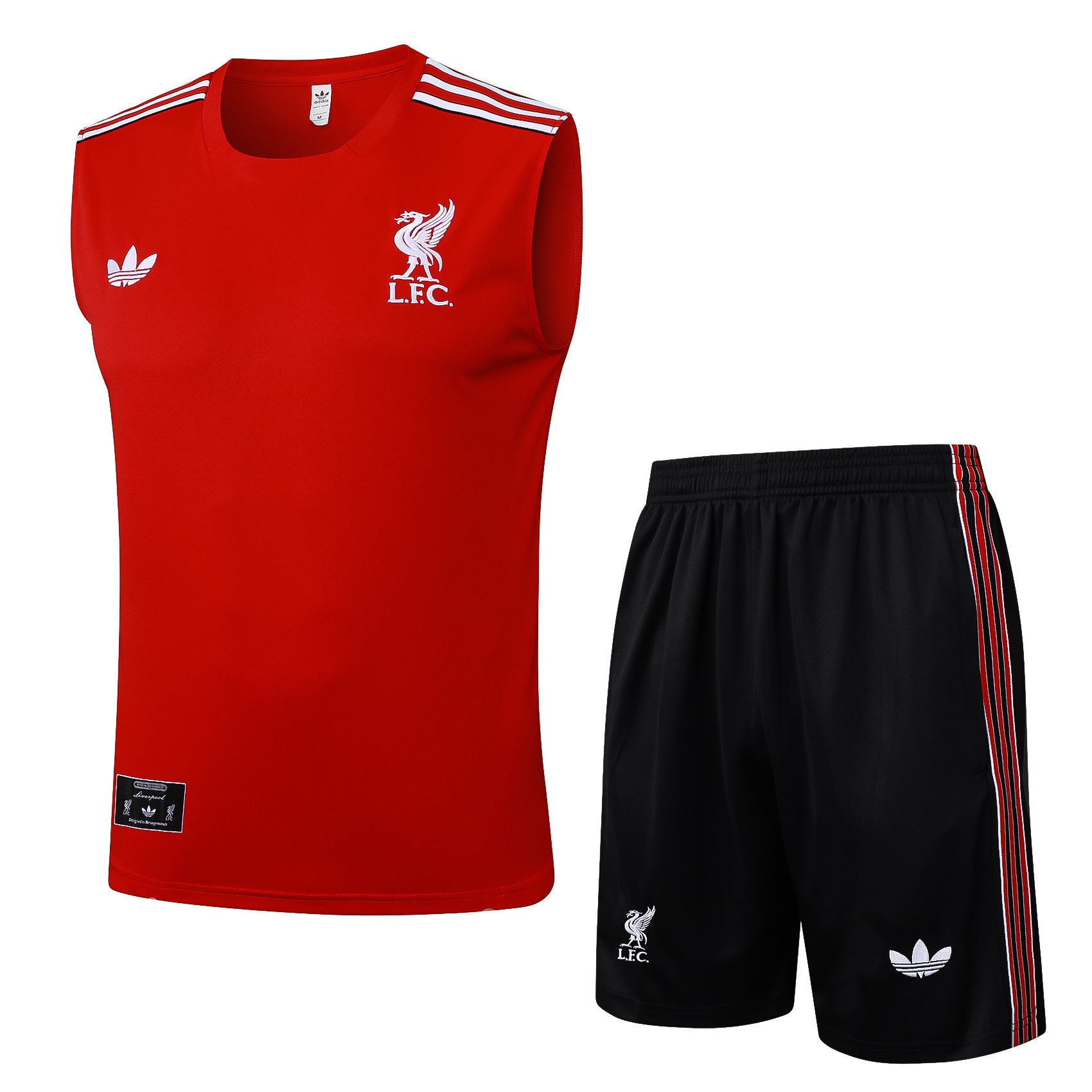 Liverpool Training Set