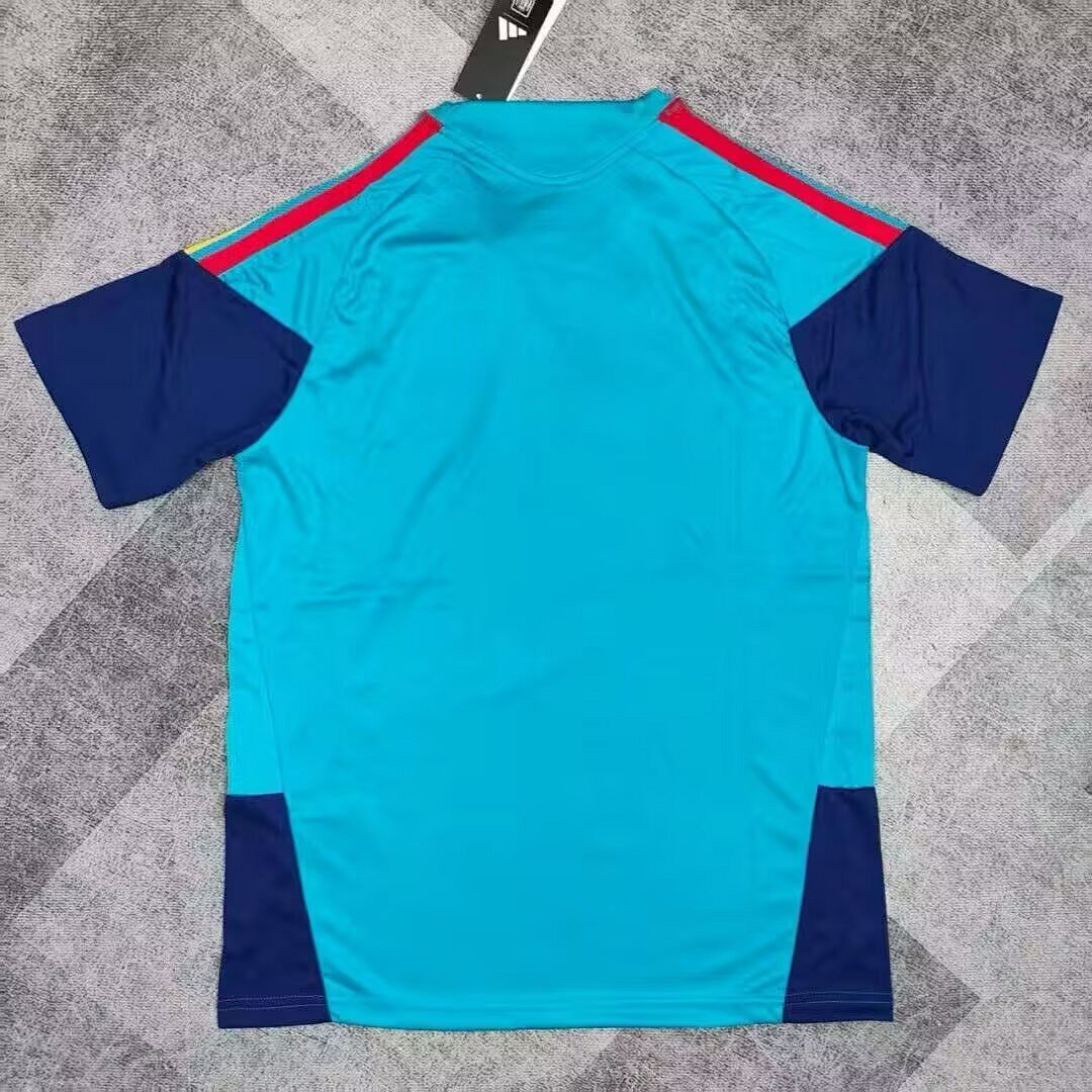 2026 Spain Training Jersey