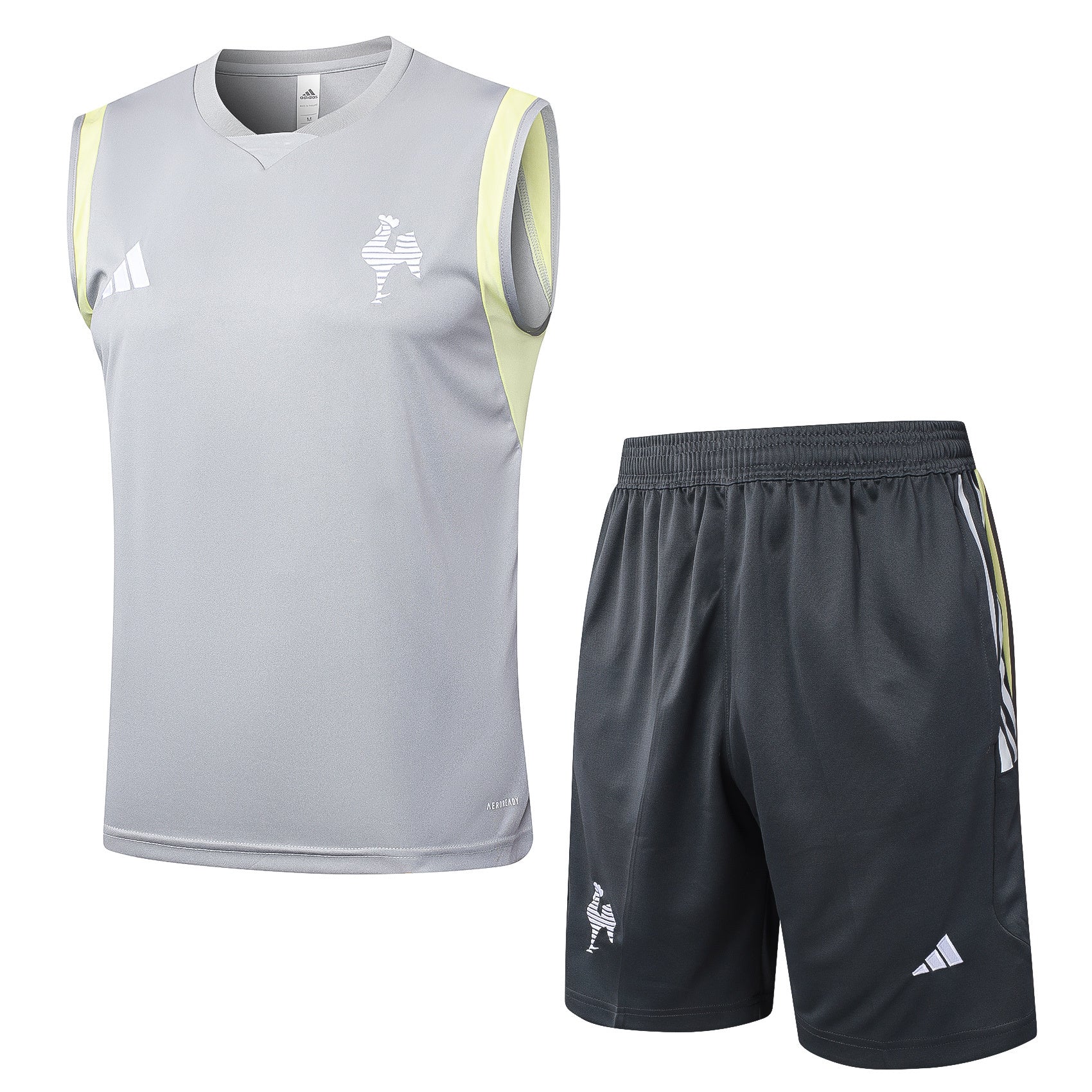 Atletico Mineiro Training Set