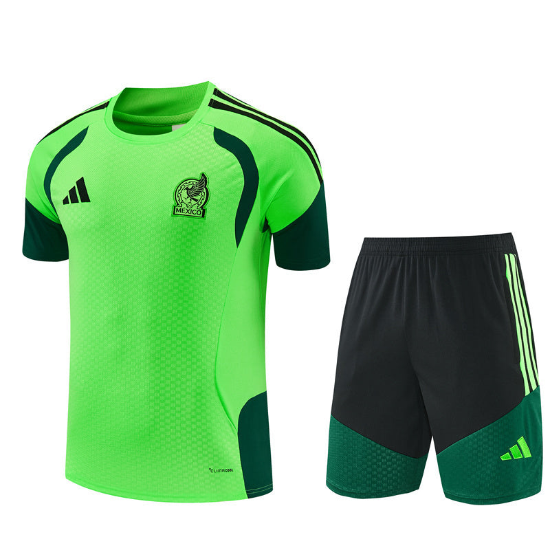 Mexico Training Set