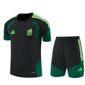 Mexico Training Set