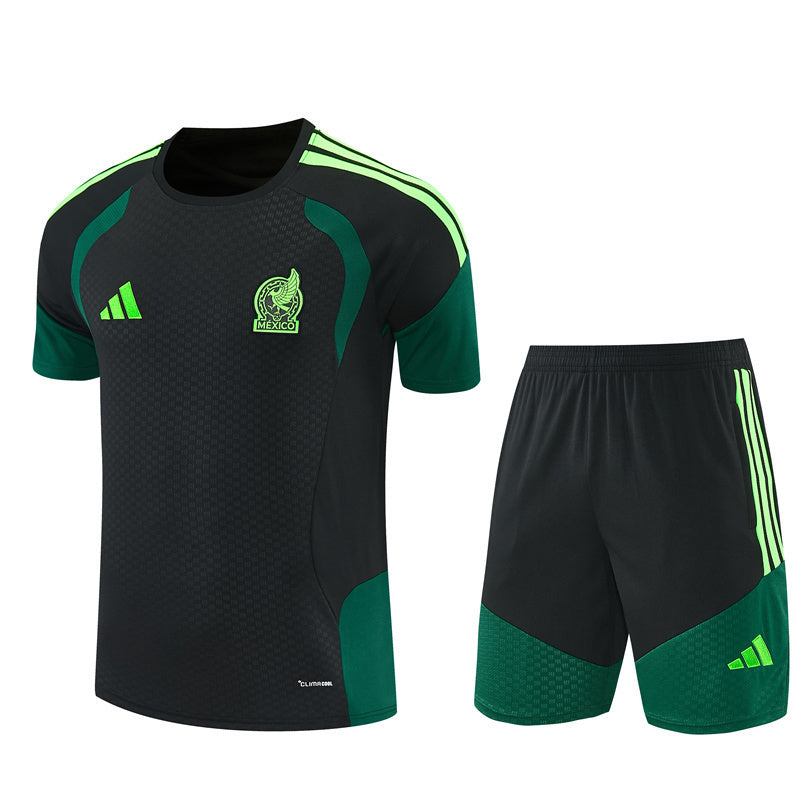 Mexico Training Set