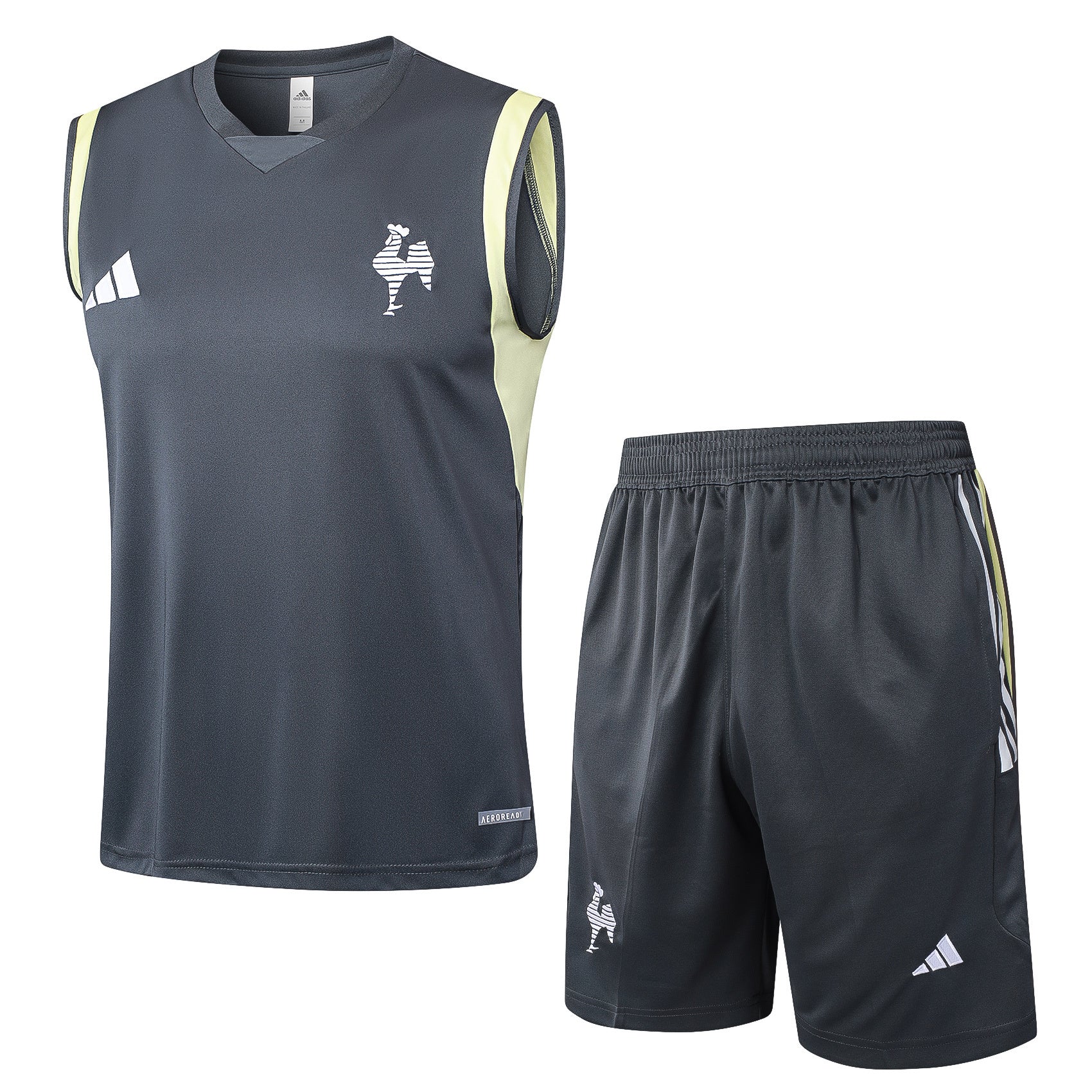 Atletico Mineiro Training Set