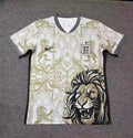 26/27 Brazil Special Jersey