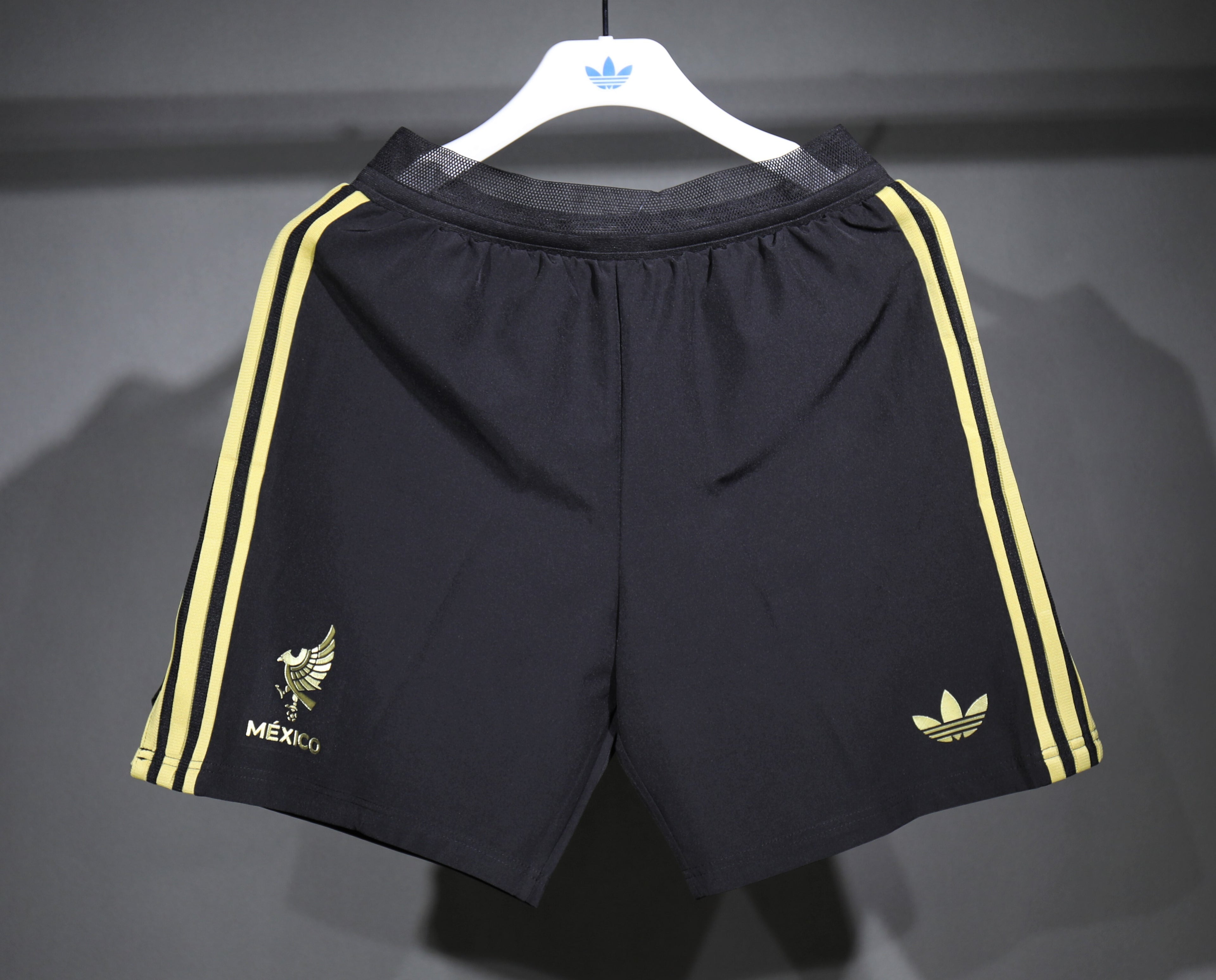 Mexico Special Edition Shorts